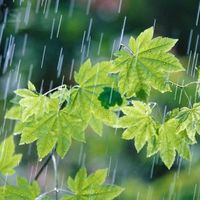 Fahimeh Abdollahi的照片