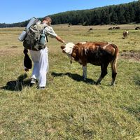 Enes Sarıkaya's Photo