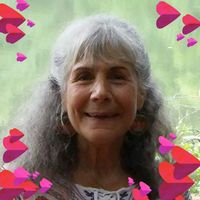 Sondra Lewis's Photo