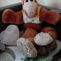 Gudrun Hofacker's Photo