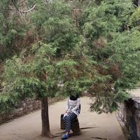 Фотографии пользователя Syifa Nur