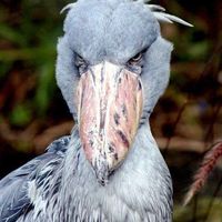 Fotos von Andreas Persson