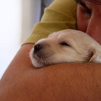 Fernando Santos's Photo