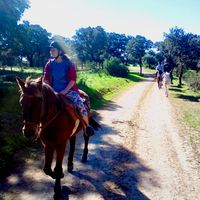 Molly Harvey的照片