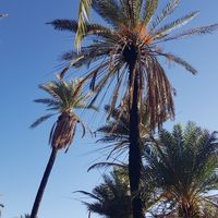 Mouloud ID MOULOUD's Photo