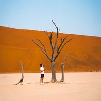Felix  Sender del Castillo's Photo