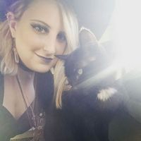 Allison Boyer的照片