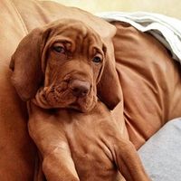 Le foto di Katalin Horváthné Bujdo