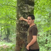 majid ghasemi's Photo