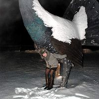 Magni Sørløkk's Photo