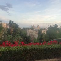 Fotos de simo pandro