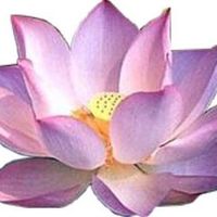 Alexia Lacourt's Photo