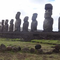 alejandro Muñoz's Photo