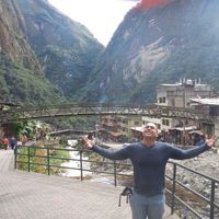 Franky Frizzles的照片