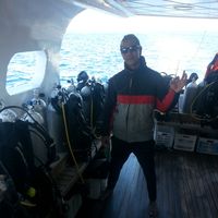 mohanad  mekawy's Photo