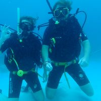 Le foto di Stephanie Healy