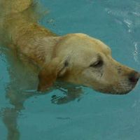 Leticia Mercado's Photo