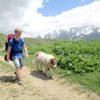 Zdjęcia użytkownika Mykhailo Shevchenko