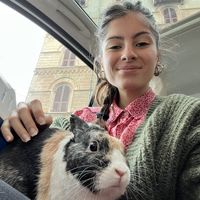 Ylenia Parbuono的照片