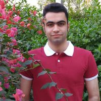 mohammad mehdi vafaei的照片