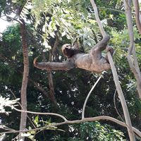 Kimy Agudelo's Photo