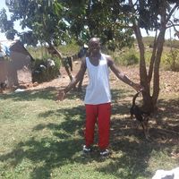 Kelly Oguttu's Photo