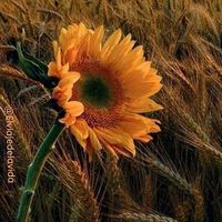 Fotos von Asun Benito Garrido