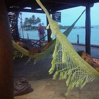 Fatima Gonzalez Ibañez's Photo