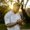 Denis Corleone's Photo