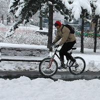 Srdjan Stankovic的照片