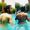 Yassine Jouli's Photo