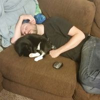 Timothy Ober的照片