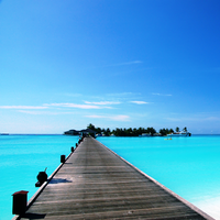 NALINI MANI的照片