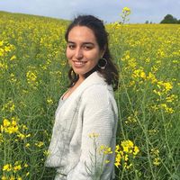 Photos de Daniella Lertzman