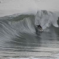 Bernardo Azevedo Duarte的照片