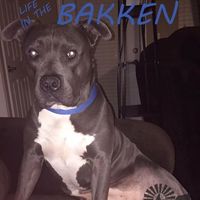 Fotos de Jeremy Seller