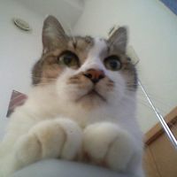 Le foto di Kaoru Yamashitum