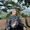 Menna Ali's Photo