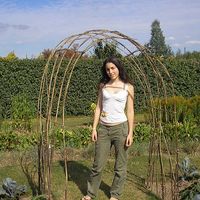 Sapir Gnessin's Photo