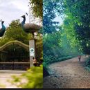 Morning Walk @ KBR Park's picture