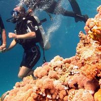 Mohamed Khafaga的照片