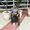 Sahil Malik's Photo