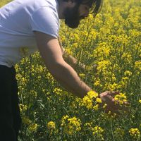 Фотографии пользователя Yasin Yılmaz