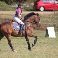 Emily Smith的照片