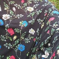 Fotos de Romina Rosel