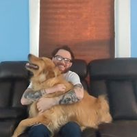 Patrick Robb的照片