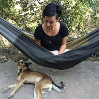 Natasha Dillow's Photo