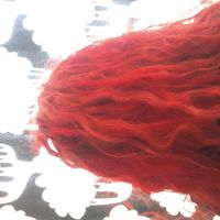 Maria Teixeira's Photo