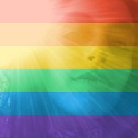 Carolina Moreira的照片