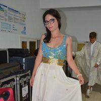 Khouloud Néchi的照片